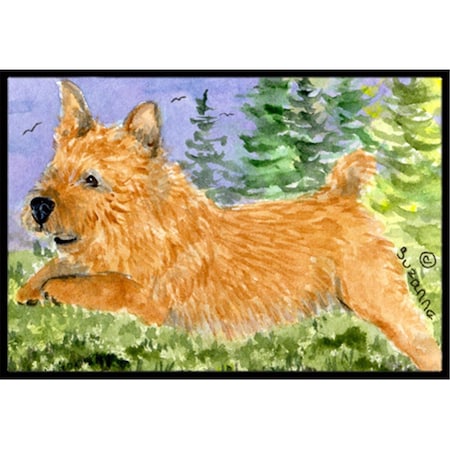 Carolines Treasures Norwich Terrier Indoor Outdoor Mat - 18 x 27 in. CA79203